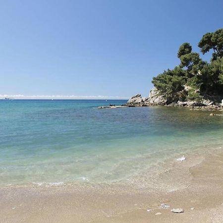 Appartement T2 Rez De Villa Proche Bord De Mer Le Pradet Dış mekan fotoğraf