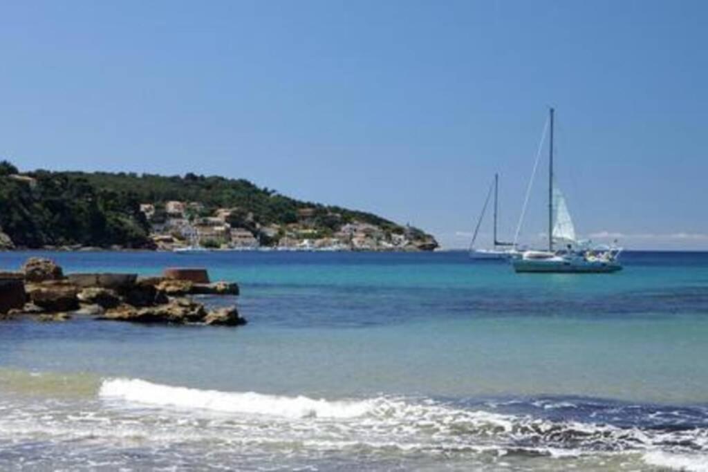 Appartement T2 Rez De Villa Proche Bord De Mer Le Pradet Dış mekan fotoğraf